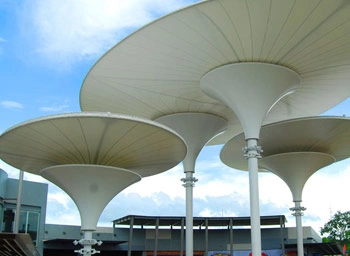 Ferrari PVC Tensile Fabric Structure India