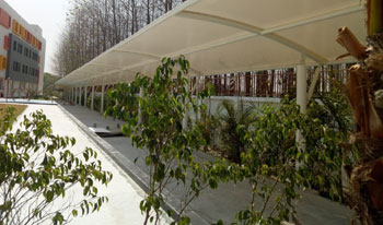 Walkway Covering Structure